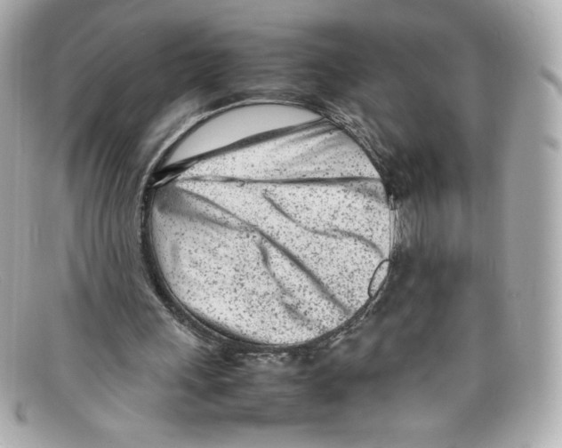 X0000097960243200804211110