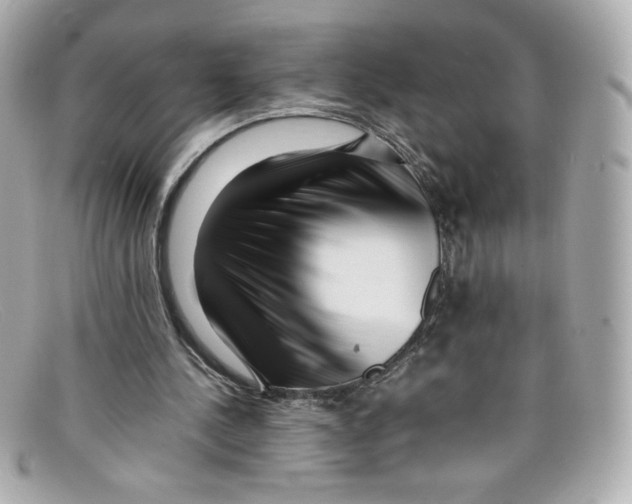 X0000097960244200804211110