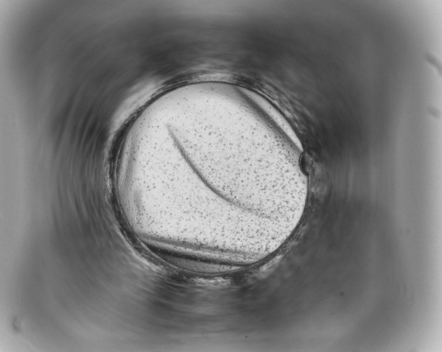 X0000097960245200804211110