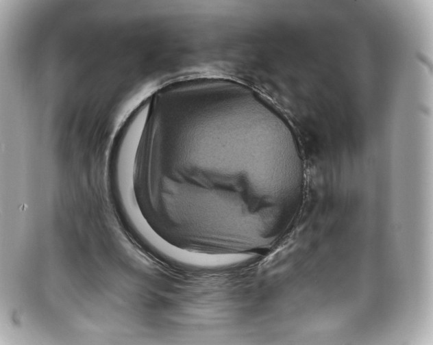 X0000097960248200804211110