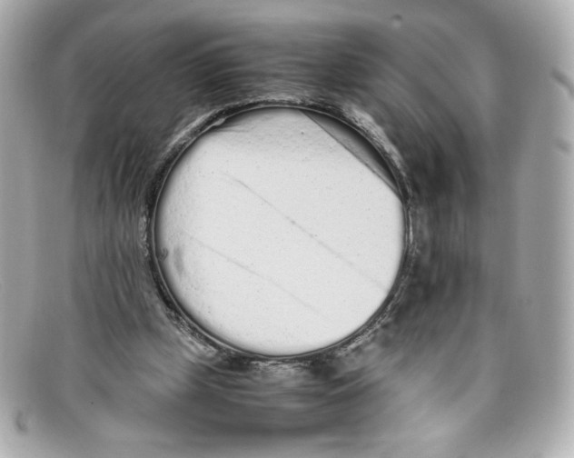 X0000097960249200804211110