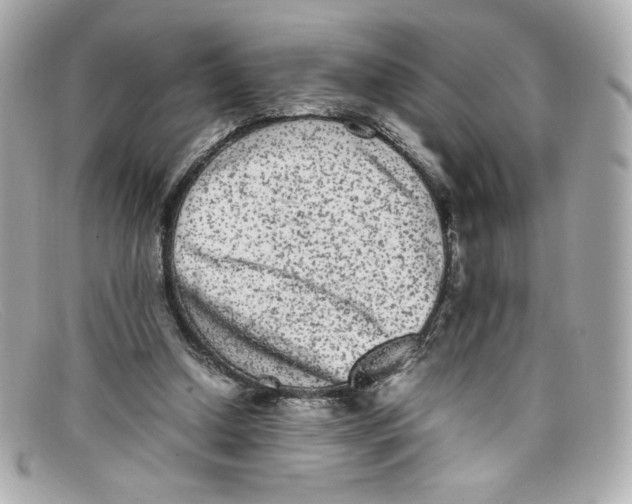 X0000097960250200804211110