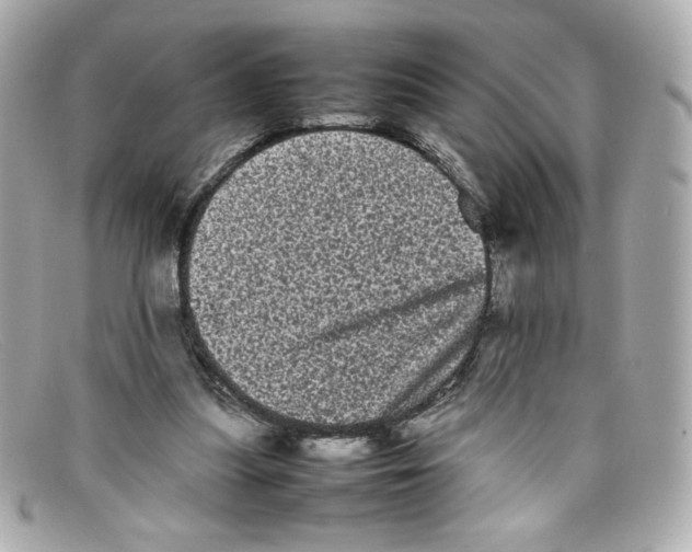 X0000097960251200804211110