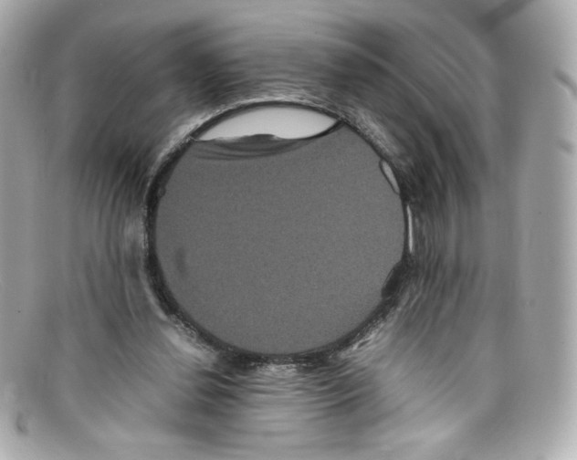 X0000097960252200804211110