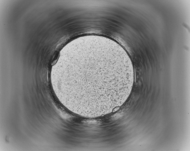X0000097960253200804211110