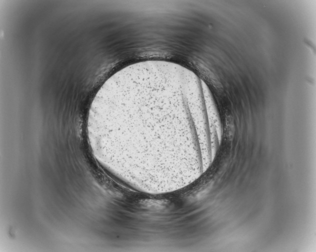 X0000097960255200804211110