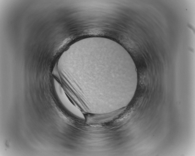 X0000097960256200804211110