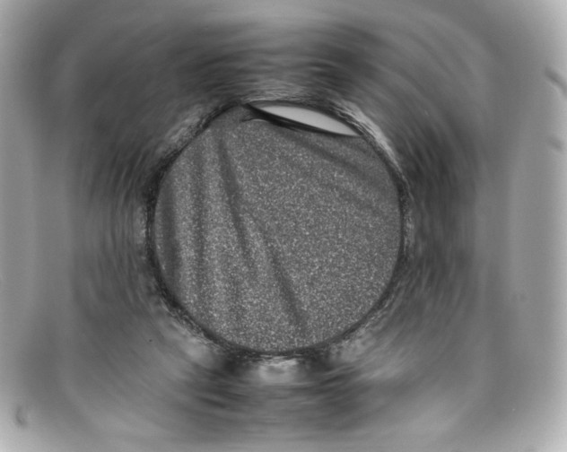 X0000097960257200804211110
