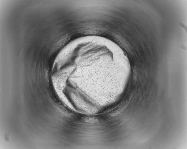 X0000097960258200804211111