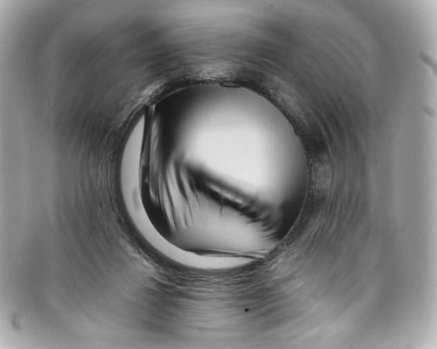 X0000097960260200804211111