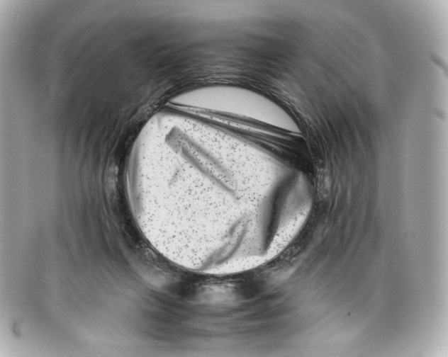 X0000097960263200804211111