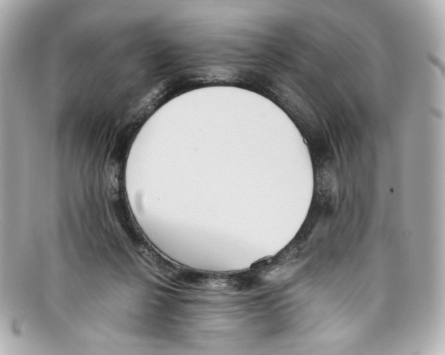 X0000097960264200804211111