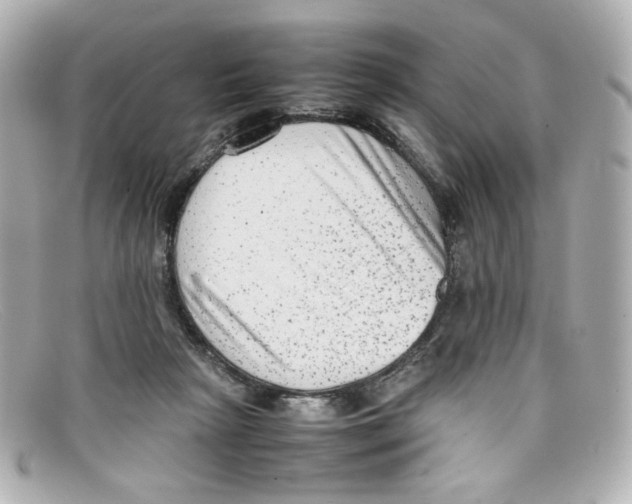 X0000097960265200804211111