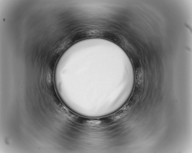 X0000097960266200804211111
