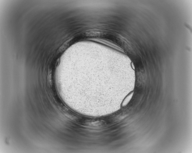X0000097960267200804211111