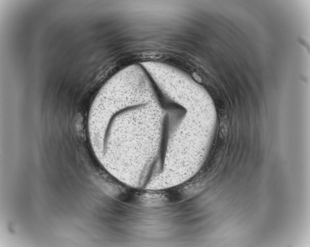X0000097960270200804211111