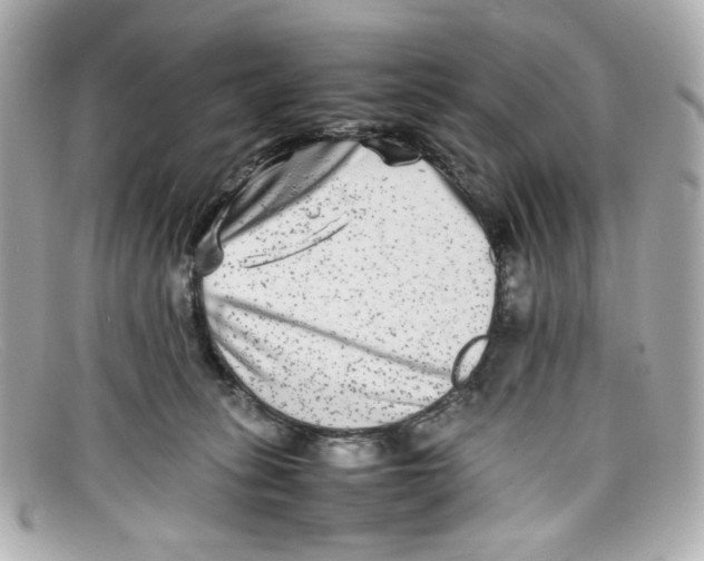X0000097960275200804211111
