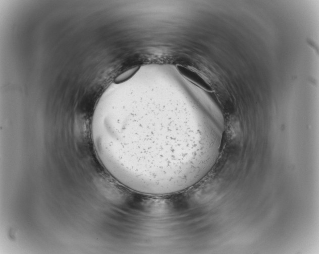 X0000097960276200804211111