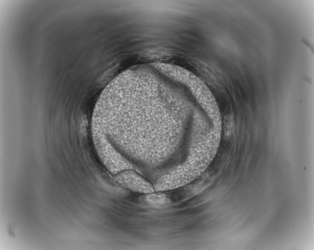 X0000097960279200804211111