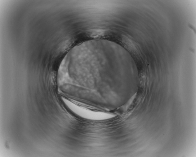 X0000097960280200804211111