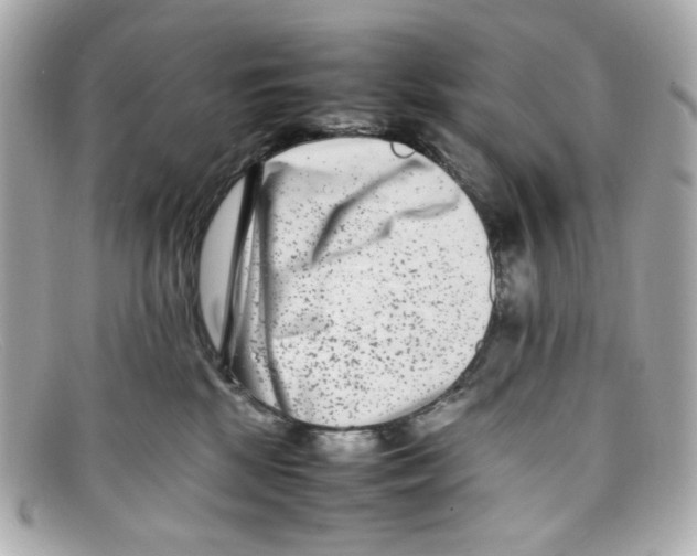 X0000097960281200804211111
