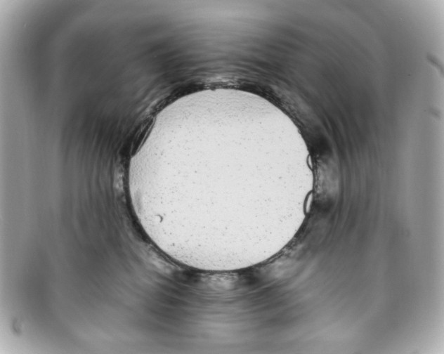 X0000097960282200804211111