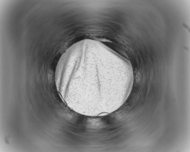 X0000097960283200804211111