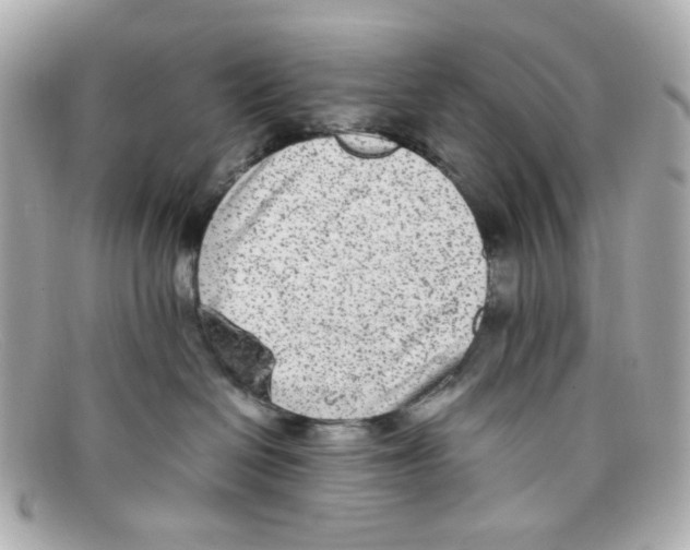 X0000097960286200804211111