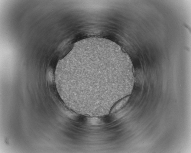 X0000097960287200804211111