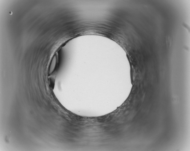 X0000097960289200804211110