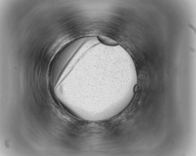 X0000097960290200804211110
