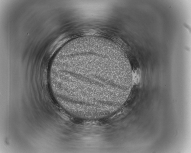 X0000097960291200804211110