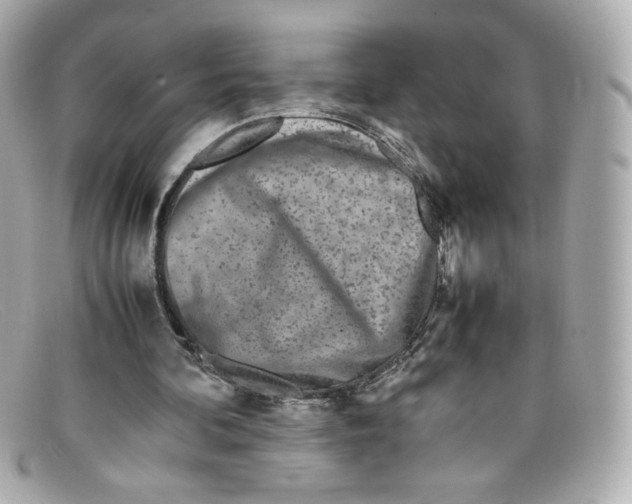 X0000097960292200804211110