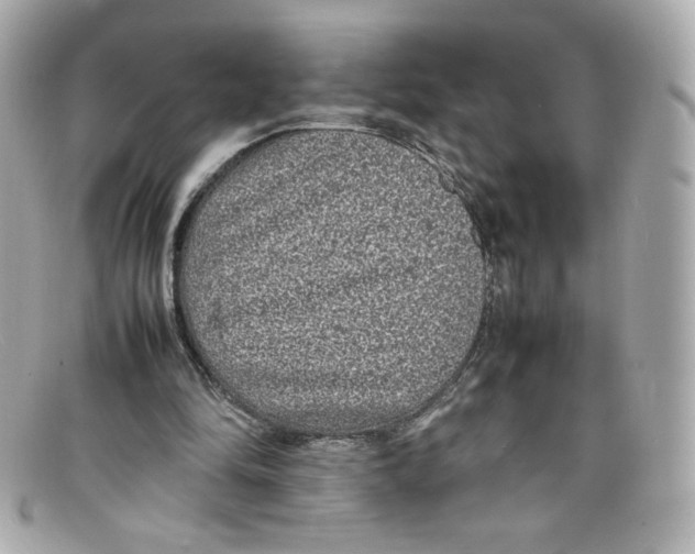 X0000097960294200804211110