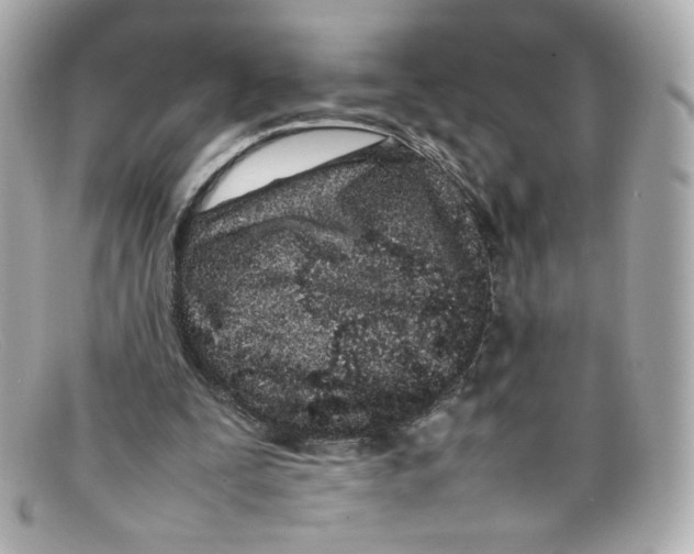 X0000097960295200804211110