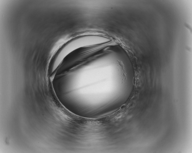 X0000097960296200804211110