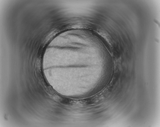 X0000097960297200804211110