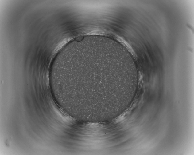 X0000097960298200804211110