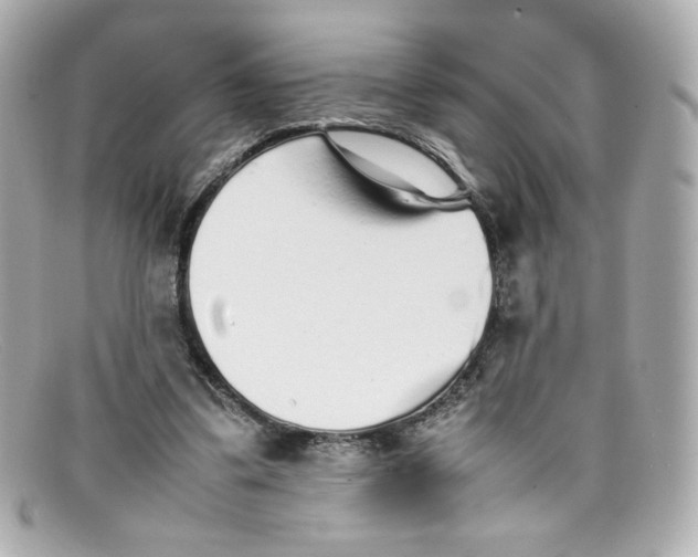 X0000097960299200804211110