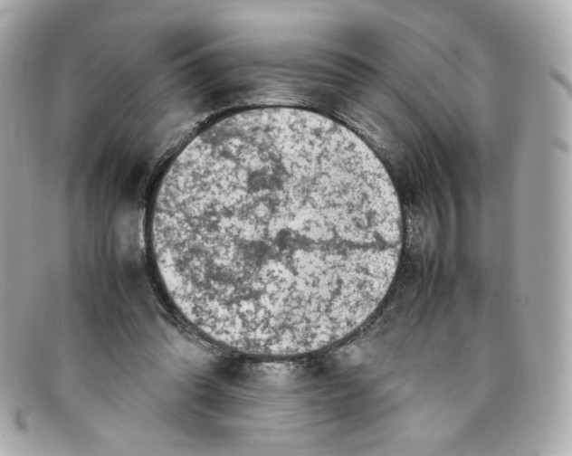X0000097960302200804211110