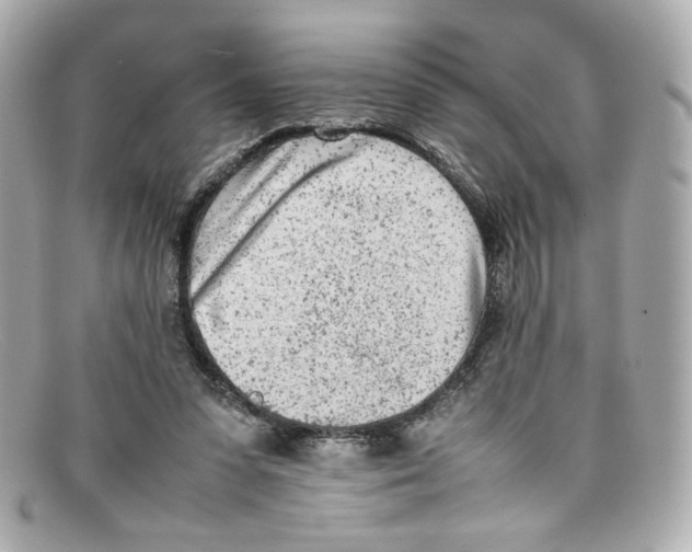 X0000097960303200804211110