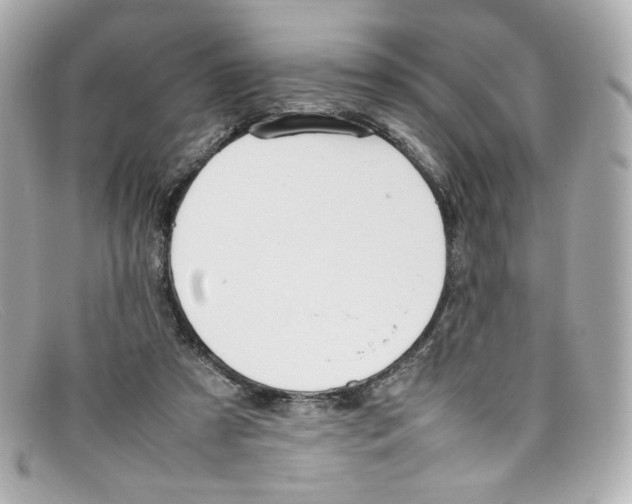 X0000097960305200804211110