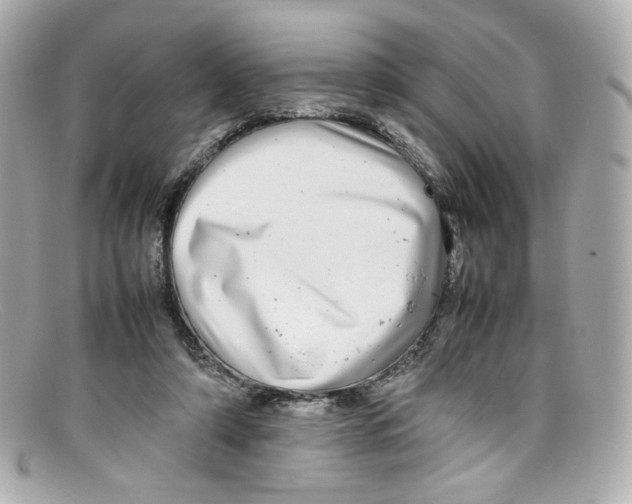 X0000097960306200804211110