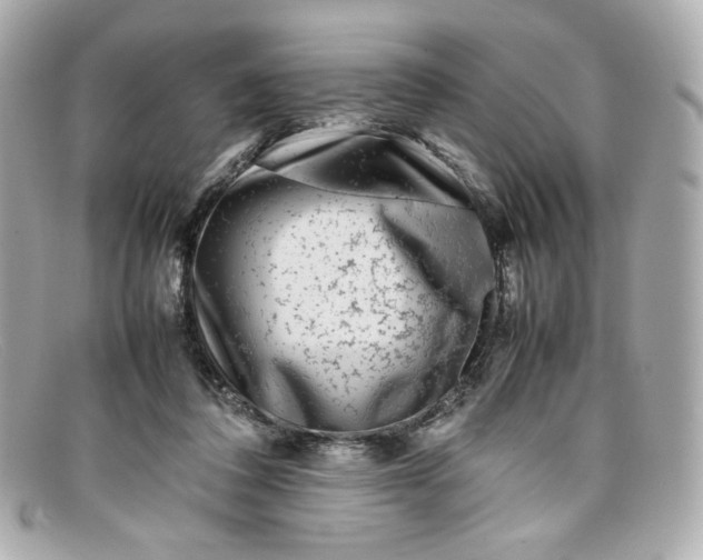 X0000097960308200804211110