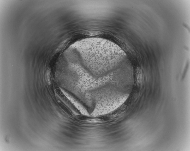 X0000097960316200804211110
