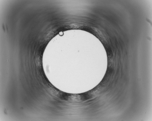 X0000097960317200804211110