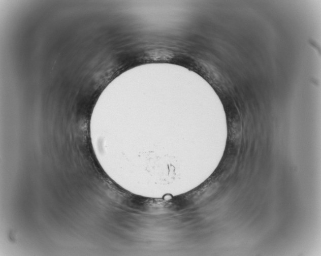 X0000097960321200804211110
