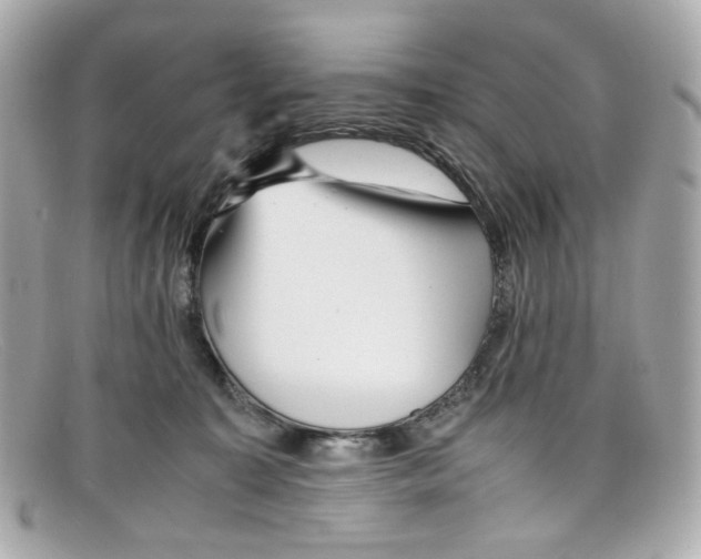 X0000097960323200804211110