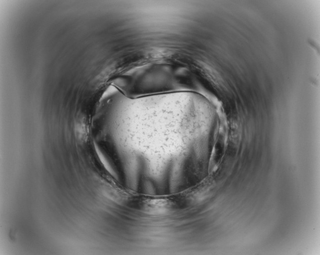 X0000097960324200804211110