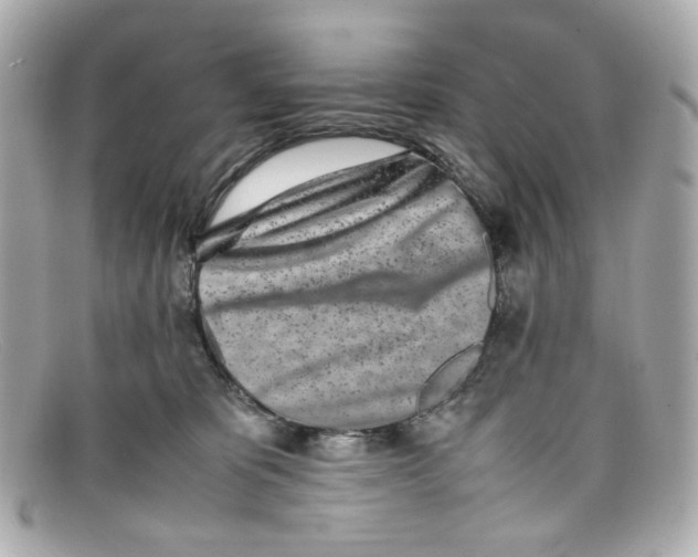 X0000097960325200804211110